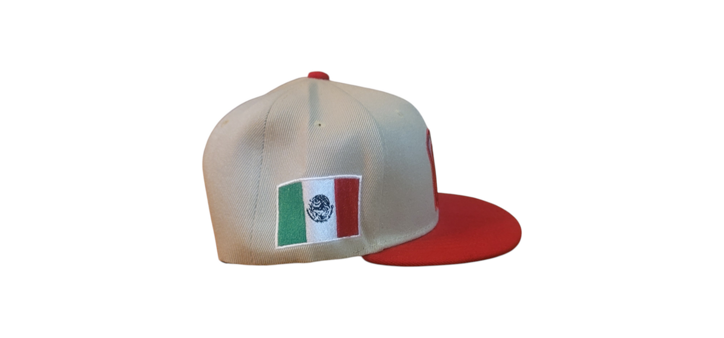 Brown Mexico Hat